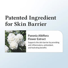 Dr. Althea 147 Barrier Cream 50ml - JINAE