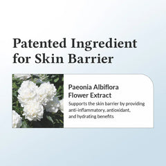 Dr. Althea 147 Barrier Cream 50ml - JINAE