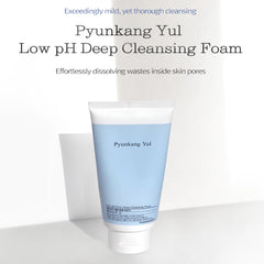 Pyunkang Yul - Low pH Pore Deep Cleansing Foam 100ml - JINAE