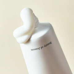 Beauty of Joseon Dynasty Cream 100ml - JINAE