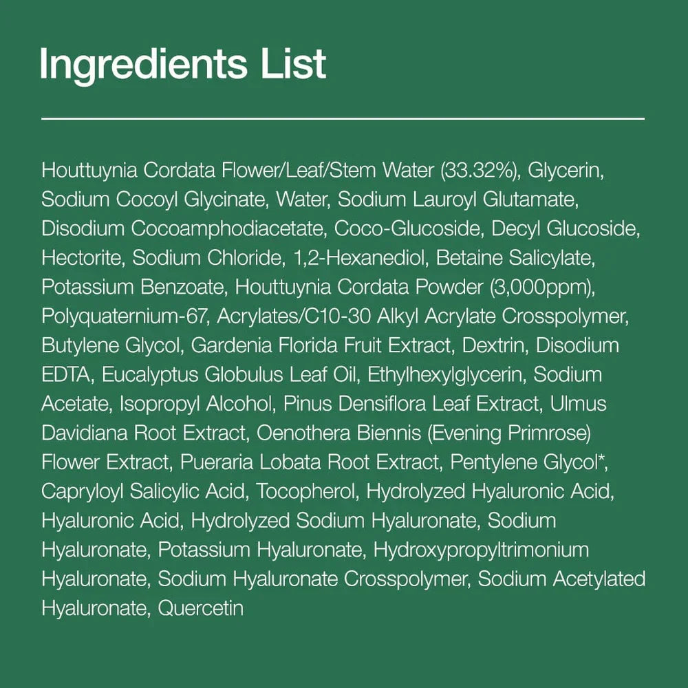 ANUA Heartleaf Quercetinol Pore Deep Cleansing Foam - JINAE